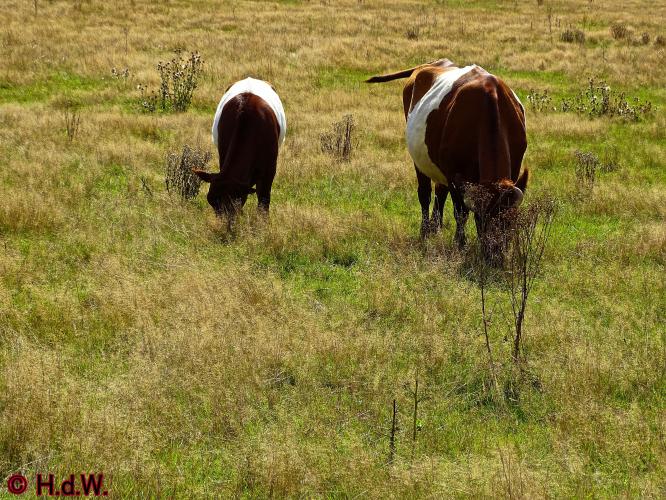 Sonsbeek park Arnhem 15-9-2022