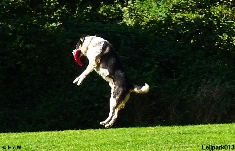 Leijpark013 Beestenboel 20 september 2022 
