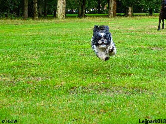 Leijpark013 Beestenboel 20 september 2022 