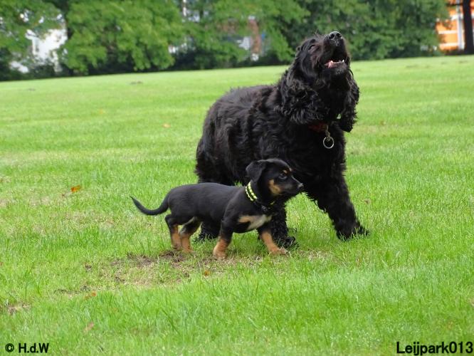 Leijpark013 Beestenboel 20 september 2022 