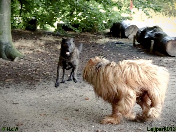 Leijpark013 Beestenboel 20 september 2022 