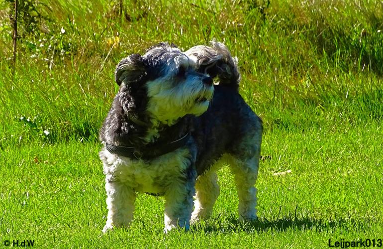 Leijpark013 Beestenboel 20 september 2022 