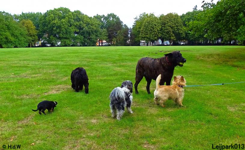 Leijpark013 Beestenboel 20 september 2022 