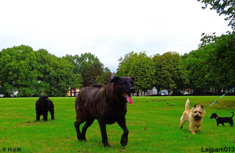 Leijpark013 Beestenboel 20 september 2022 