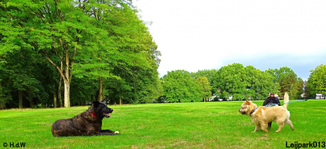 Leijpark013 Beestenboel 20 september 2022 