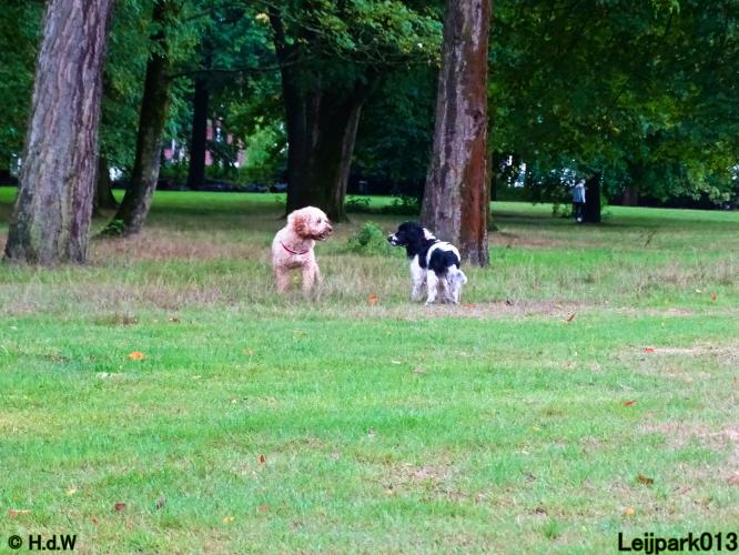 Leijpark013 Beestenboel 20 september 2022 