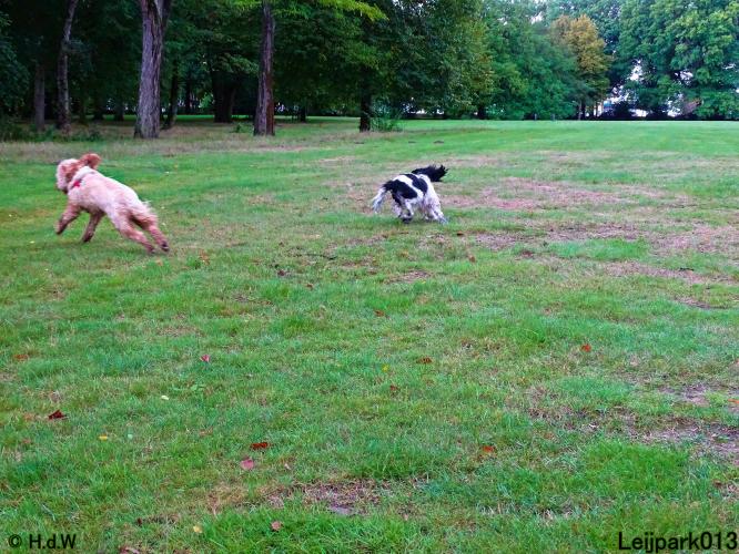 Leijpark013 Beestenboel 20 september 2022 