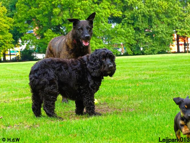 Leijpark013 Beestenboel 20 september 2022 