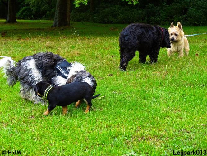 Leijpark013 Beestenboel 20 september 2022 