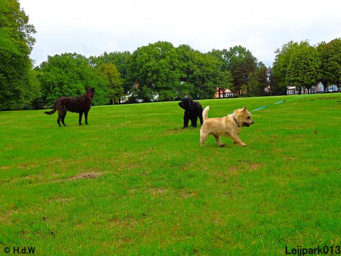 Leijpark013 Beestenboel 20 september 2022 