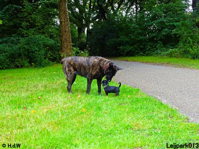 Leijpark013 Beestenboel 20 september 2022 