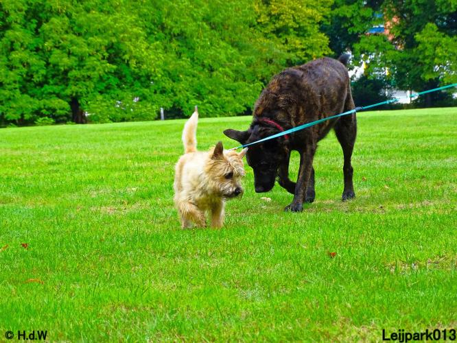 Leijpark013 Beestenboel 20 september 2022 