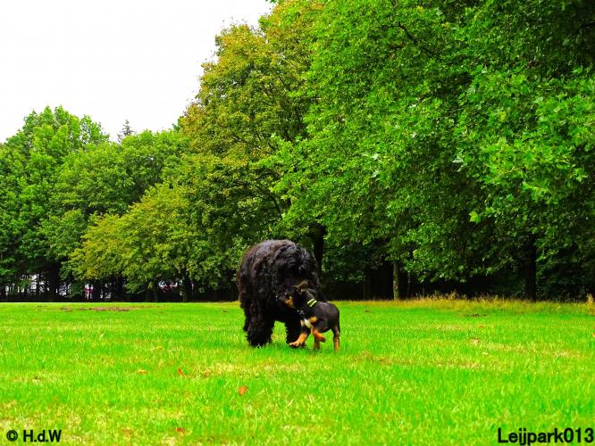 Leijpark013 Beestenboel 20 september 2022 