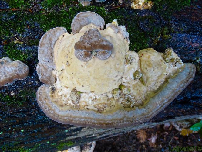 Leijpark013 20 &amp; 21 &amp; 22 &amp; 23 september 2022