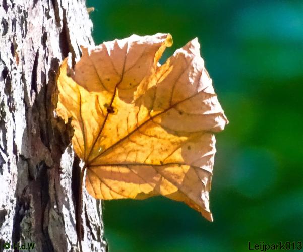 Leijpark013 20 &amp; 21 &amp; 22 &amp; 23 september 2022