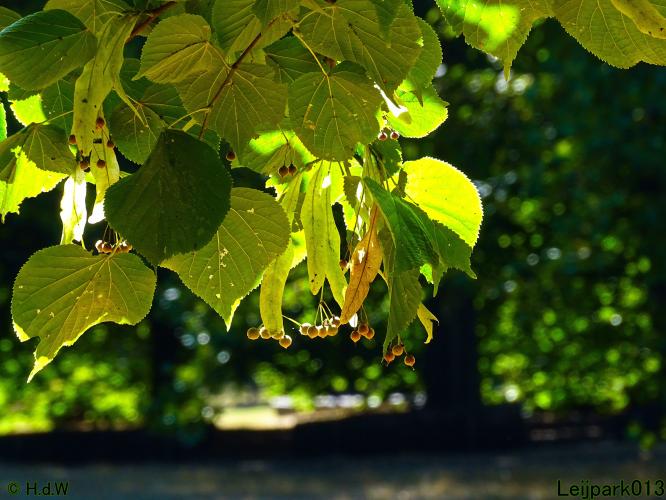 Leijpark013 20 &amp; 21 &amp; 22 &amp; 23 september 2022