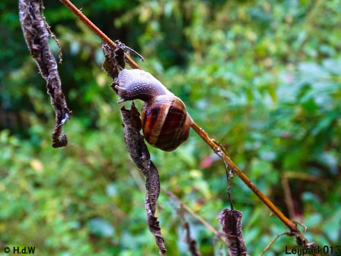 Leijpark013 20 &amp; 21 &amp; 22 &amp; 23 september 2022