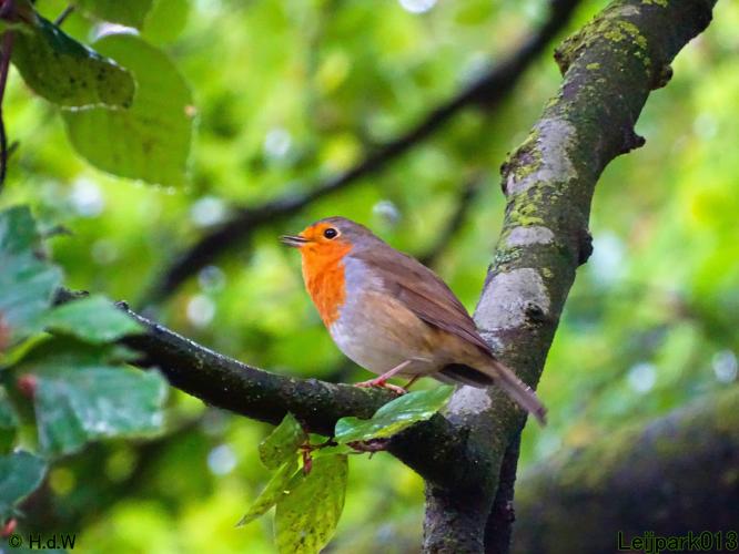 Leijpark013 20 &amp; 21 &amp; 22 &amp; 23 september 2022