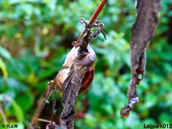 Leijpark013 20 &amp; 21 &amp; 22 &amp; 23 september 2022