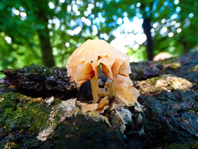 Leijpark013 20 &amp; 21 &amp; 22 &amp; 23 september 2022