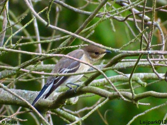 Leijpark013 20 &amp; 21 &amp; 22 &amp; 23 september 2022