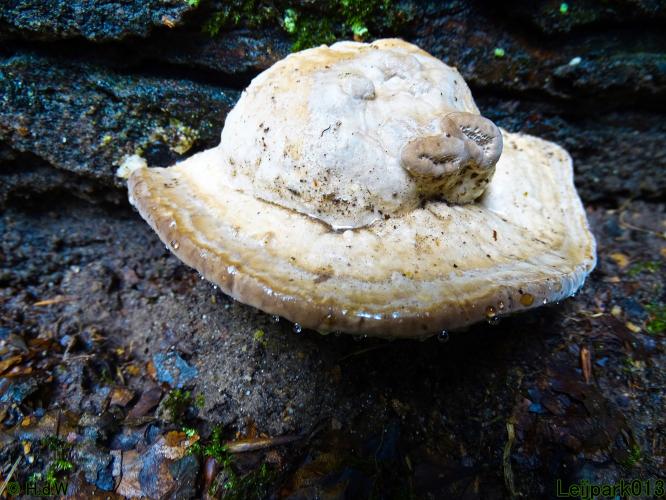 Leijpark013 20 &amp; 21 &amp; 22 &amp; 23 september 2022