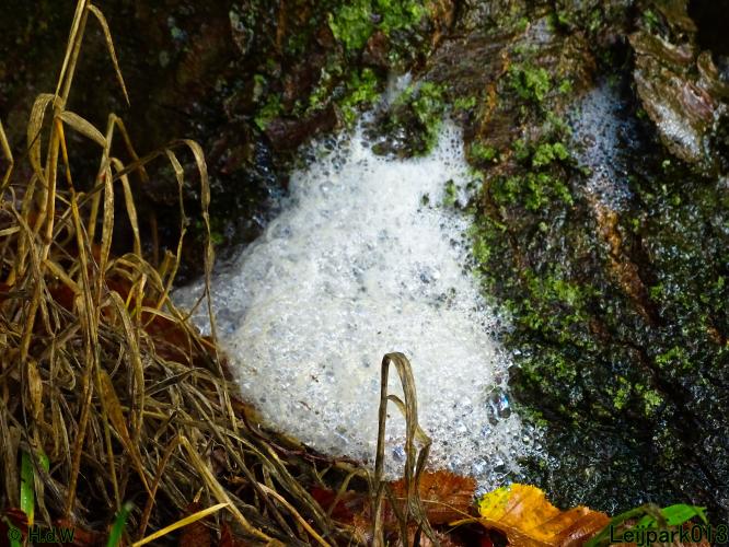 Leijpark013 20 &amp; 21 &amp; 22 &amp; 23 september 2022