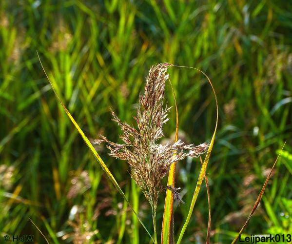 Leijpark013 20 &amp; 21 &amp; 22 &amp; 23 september 2022