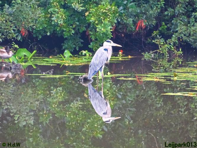 Leijpark013 20 &amp; 21 &amp; 22 &amp; 23 september 2022