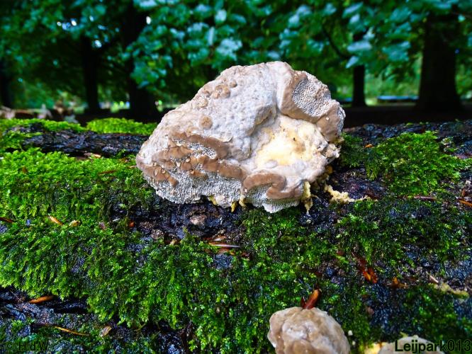 Leijpark013 20 &amp; 21 &amp; 22 &amp; 23 september 2022