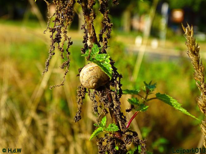 Leijpark013 20 &amp; 21 &amp; 22 &amp; 23 september 2022