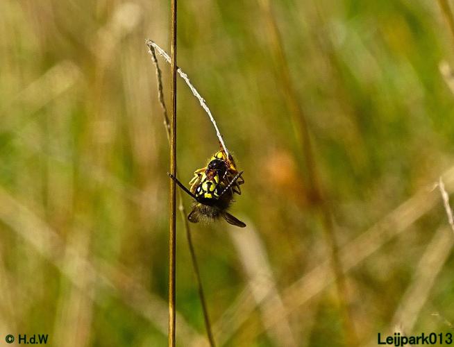 Leijpark013 11 &amp; 12 &amp; 13 &amp; 14 oktober 2022 