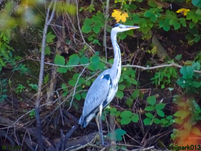 Leijpark013 11 &amp; 12 &amp; 13 &amp; 14 oktober 2022 