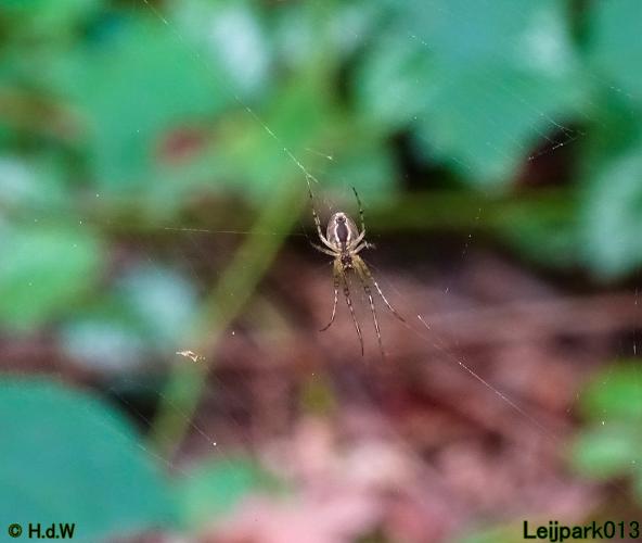 Leijpark013 11 &amp; 12 &amp; 13 &amp; 14 oktober 2022 