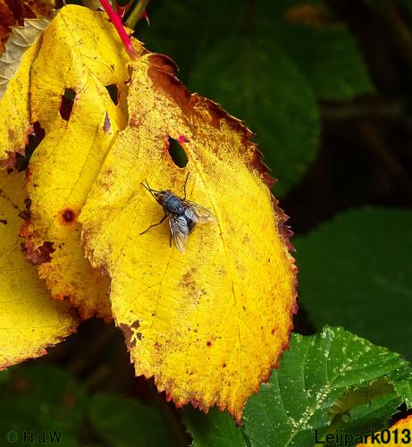 Leijpark013 11 &amp; 12 &amp; 13 &amp; 14 oktober 2022 