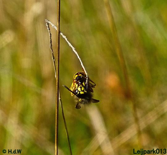 Leijpark013 11 &amp; 12 &amp; 13 &amp; 14 oktober 2022 