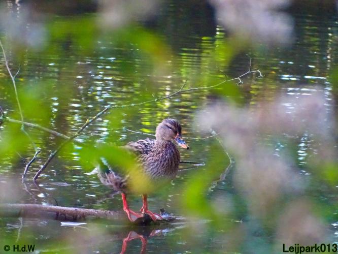 Leijpark013 11 &amp; 12 &amp; 13 &amp; 14 oktober 2022 