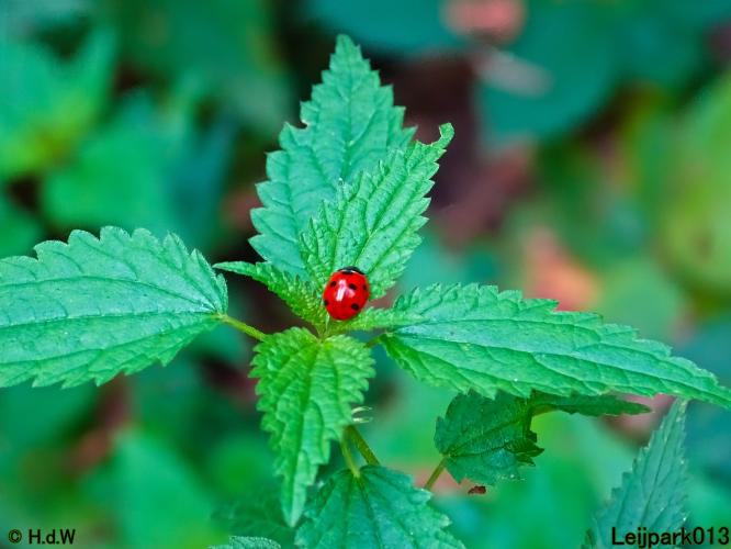 Leijpark013 11 &amp; 12 &amp; 13 &amp; 14 oktober 2022 