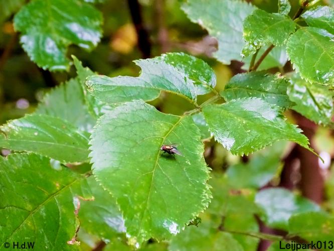 Leijpark013 11 &amp; 12 &amp; 13 &amp; 14 oktober 2022 