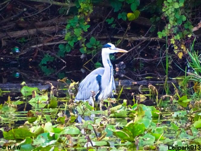 Leijpark013 11 &amp; 12 &amp; 13 &amp; 14 oktober 2022 
