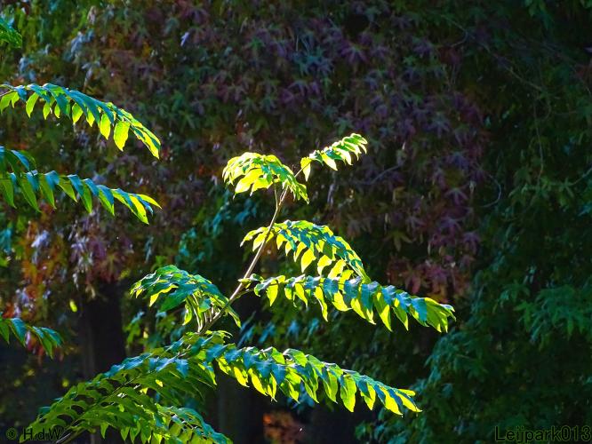 Leijpark013 11 &amp; 12 &amp; 13 &amp; 14 oktober 2022 