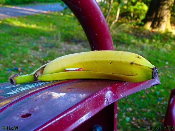 Leijpark013 11 &amp; 12 &amp; 13 &amp; 14 oktober 2022 