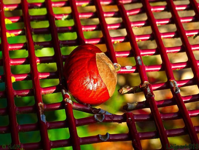 Leijpark013 11 &amp; 12 &amp; 13 &amp; 14 oktober 2022 