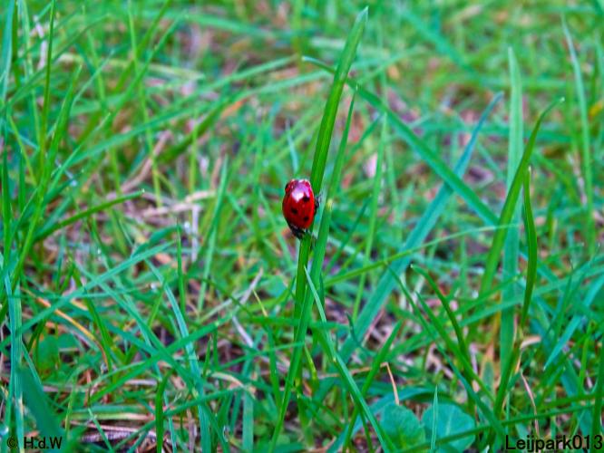 Leijpark013 11 &amp; 12 &amp; 13 &amp; 14 oktober 2022 