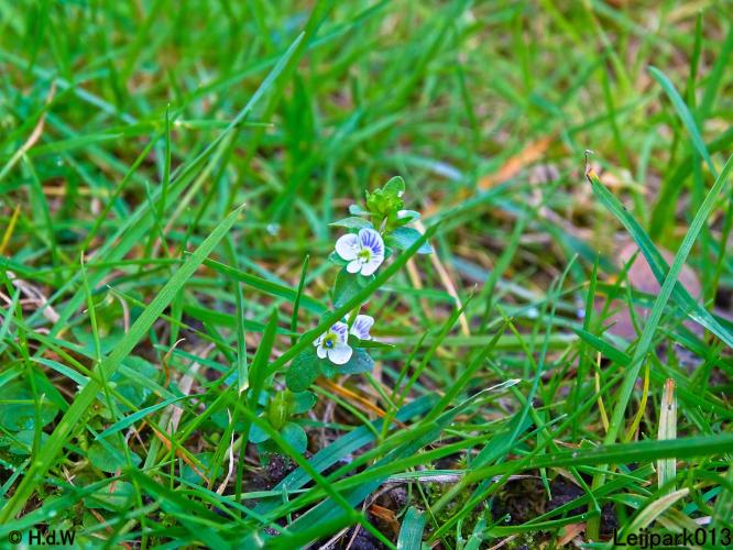 Leijpark013 11 &amp; 12 &amp; 13 &amp; 14 oktober 2022 