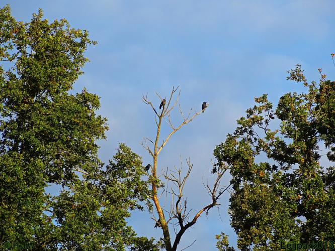 Leijpark013 11 &amp; 12 &amp; 13 &amp; 14 oktober 2022 