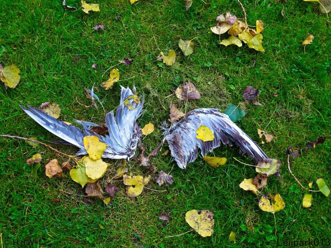 Leijpark013 11 &amp; 12 &amp; 13 &amp; 14 oktober 2022 