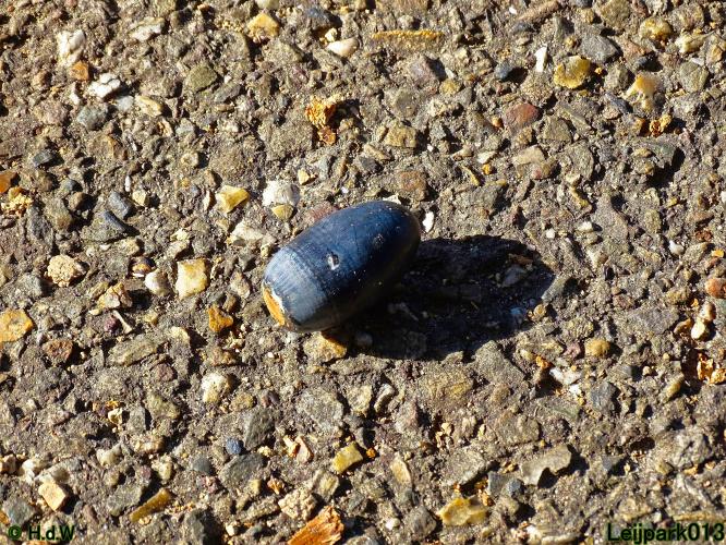 Leijpark013 11 &amp; 12 &amp; 13 &amp; 14 oktober 2022 