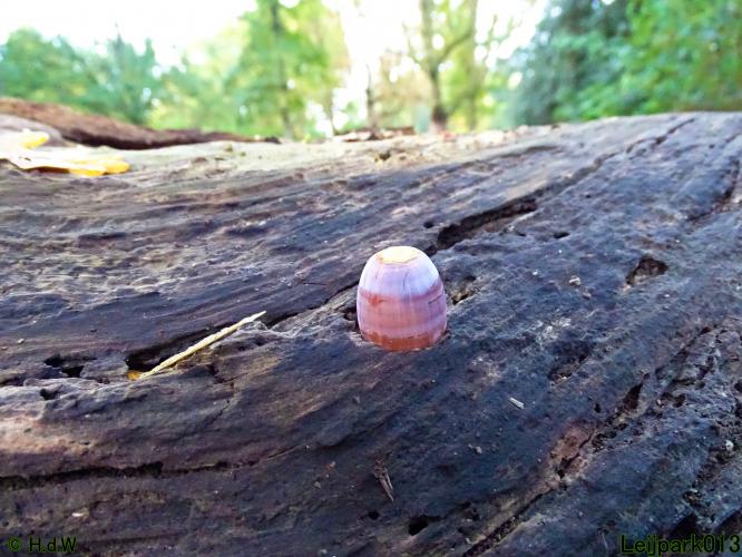 Leijpark013 11 &amp; 12 &amp; 13 &amp; 14 oktober 2022 