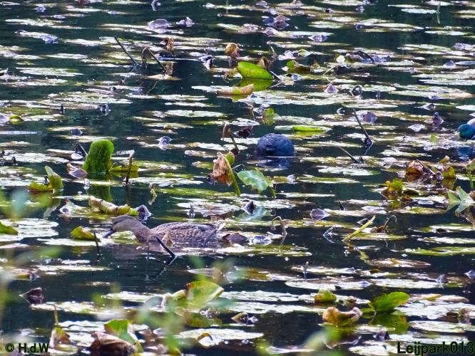 Leijpark013 11 &amp; 12 &amp; 13 &amp; 14 oktober 2022 